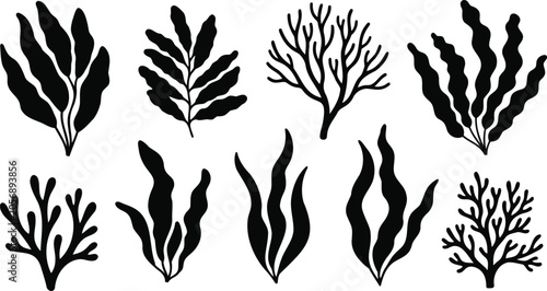 Set of black seaweed and coral silhouettes