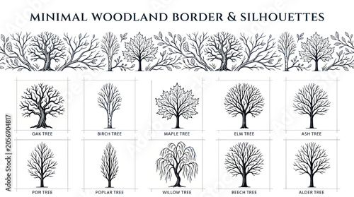 Konstfotografi Minimal Woodland Border & Silhouettes: Various Tree Types