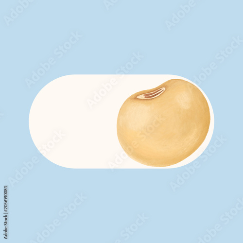 Φωτογραφία Illustration of a soybean on a light blue and white background.