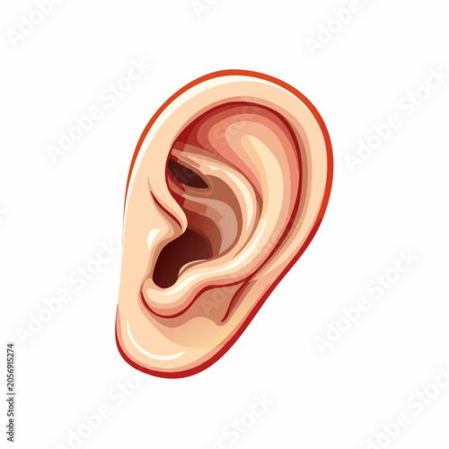 Illustration of a Human Ear