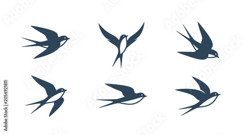 фотографія Dark blue swallow and swift bird flying silhouettes.