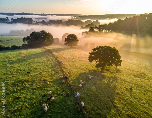 Misty sunrise over rolling fields
