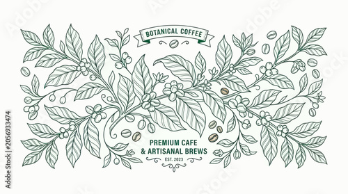 Obraz na płótnie Botanical Coffee illustration with leaves, beans and ribbon banner