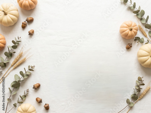Autumn pumpkin border background