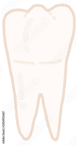 Photos Premolar Tooth Hand Illustration in Crayon Style