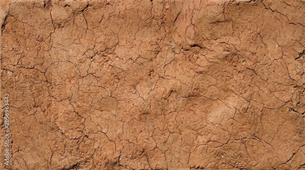 Fototapeta premium Detailed cracked earth texture background seamless full frame