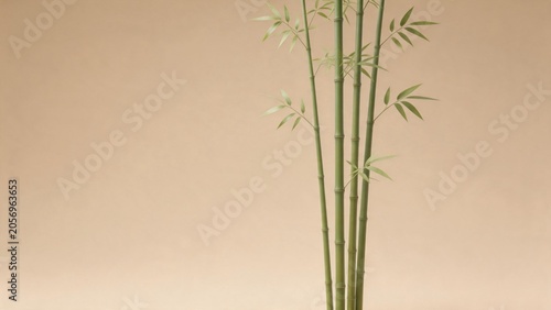 Bamboo stalks with green leaves