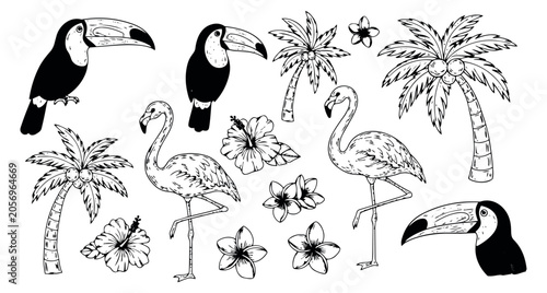 Hand drawn line art tropical elements set featuring toucans, flamingos, palm trees, and flowers for summer designs