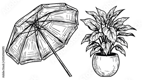 Hand drawn line art set featuring an open beach umbrella and a potted houseplant for summer and home decoration