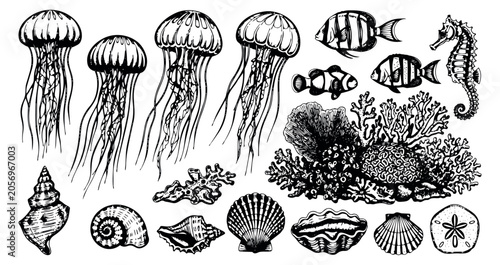Hand drawn line art marine life set featuring jellyfish, fish, seahorse, coral, and seashells for underwater themes