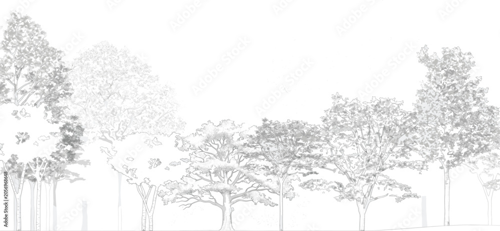Obraz premium A serene landscape illustration of trees standing tall in a natural environment.