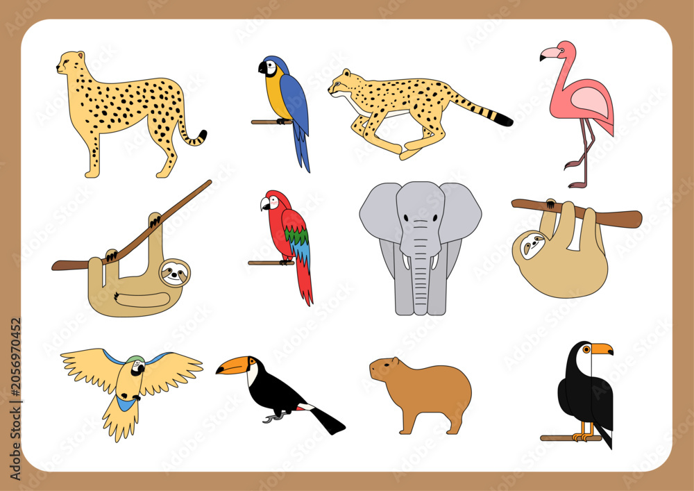 Fototapeta premium Vector illustration of tropical wildlife.