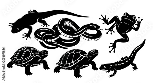 Obraz na plátne Silhouettes of reptiles and amphibians animals.