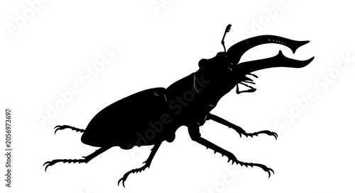 Cuadro en lienzo Stag Beetle Silhouette Side View.