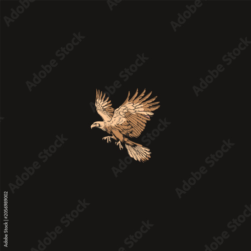 Hand drawn vector illustration of a majestic eagle flying with spread wings isolated on black background.