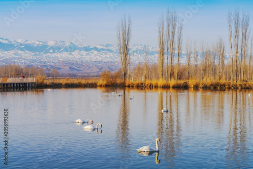 The natural beauty of the Tianshan Mountains and Swan Lake in winter in Xinjiang, China on March 3, 2023