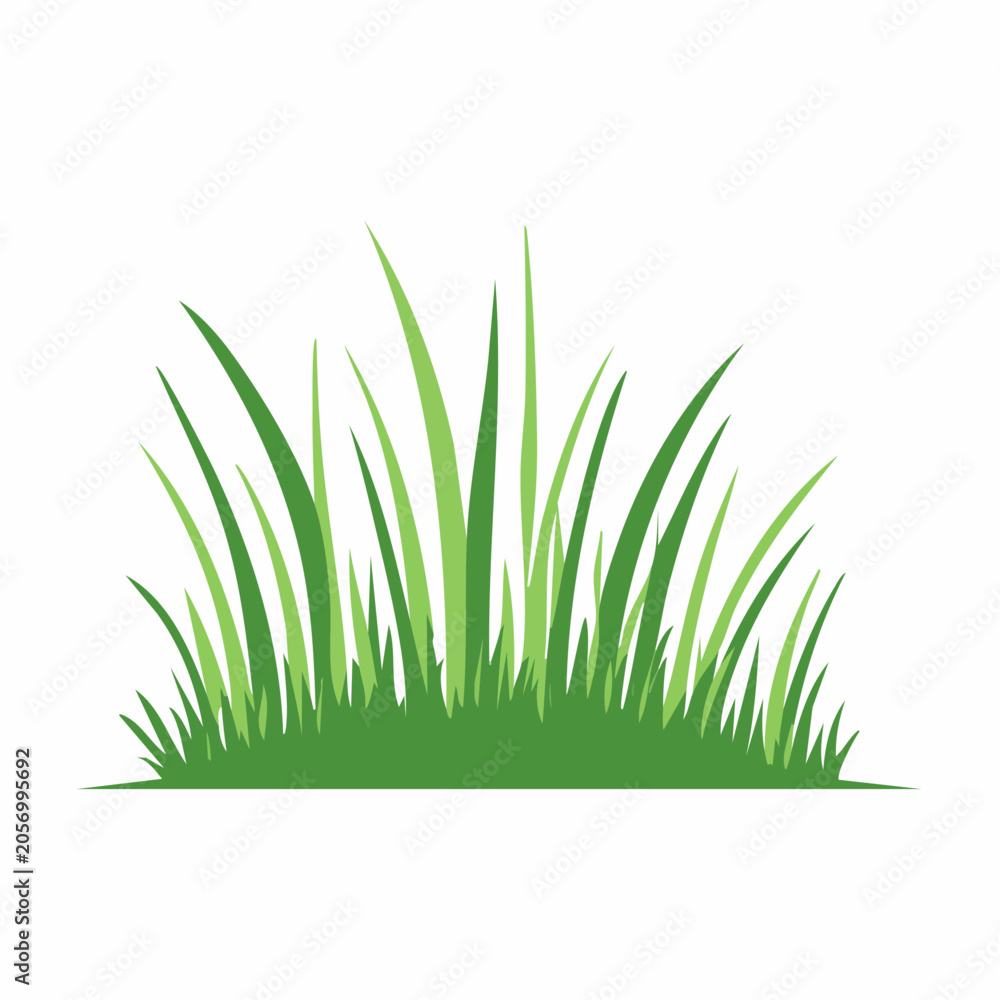 Fototapeta premium Green Grass Illustration