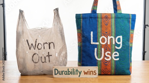 Reusable Bag vs. Plastic Bag for No Plastic Day