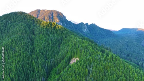 Aerial Flight Along Evergreen Mountain Ridge In Washington