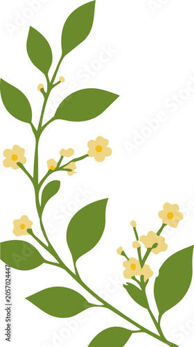 꽃