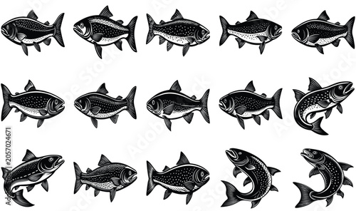 fish silhouette vector collection. Illustration vector of different kinds of Fish Silhouette. Cute graphic design of fish in ocean.