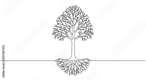 Fotografie Stylized tree with intricate roots, minimal line art, white background