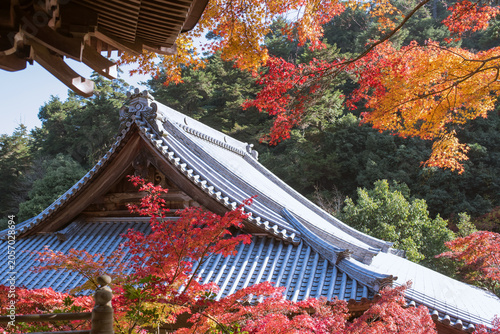 紅葉した木と寺院の屋根　広島県・宮島の大聖院