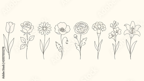 Minimal black continuous line flower collection on a warm cream background, featuring tulip, rose, daisy, poppy, carnation, blossom, and lily illustrations