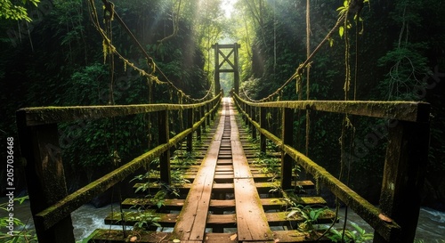 Ancient Moss Covered Wooden Suspension Bridge in Lush Tropical Forest © Hakimi