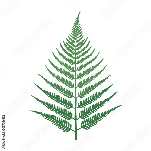 Minimalist pine tree line art icon