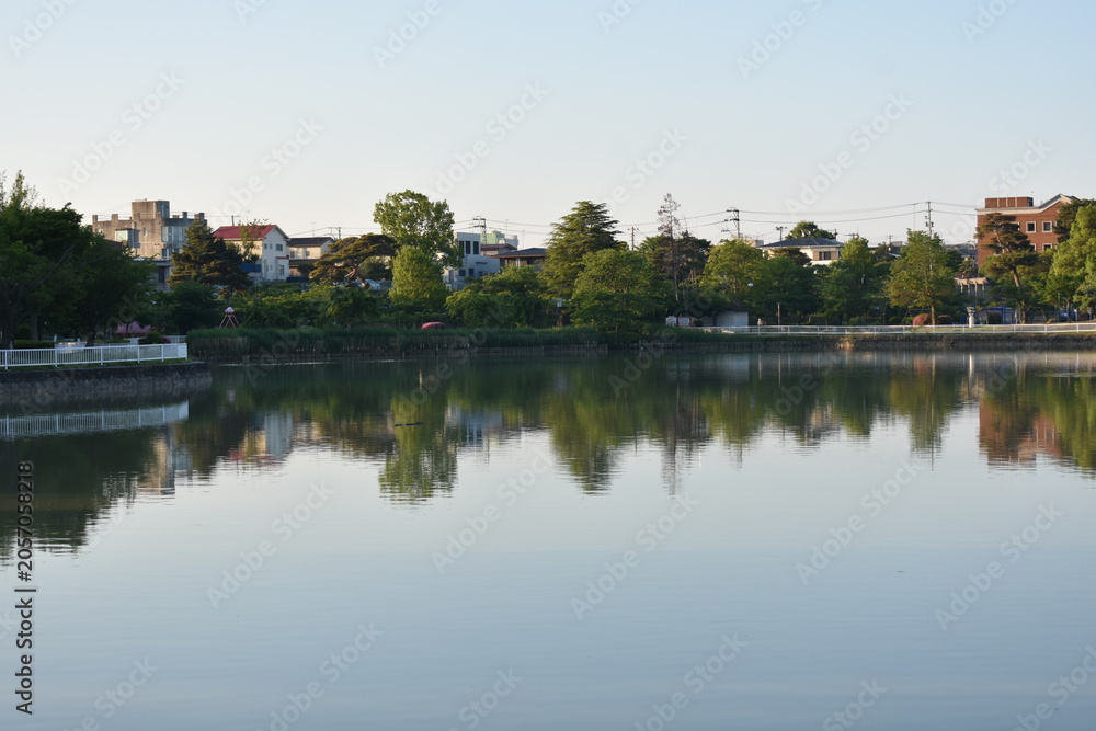 Obraz premium Peaceful Waterfront Park with Green Trees Reflected on Still Water