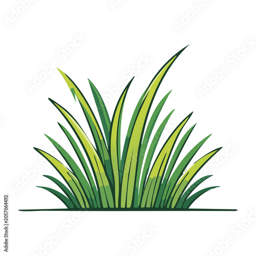 Green tropical plant vector illustration