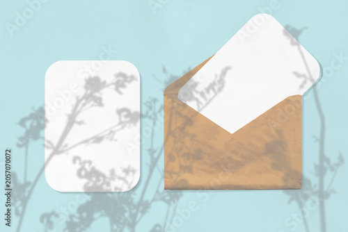 The shadow of wildflowers falls on an envelope with two sheets of textured white paper on a blue background. Mockup horizontal orientation