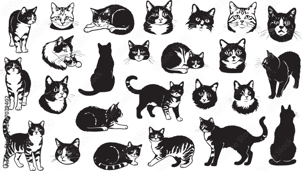 Obraz premium Black and white illustration of a standing tabby cat