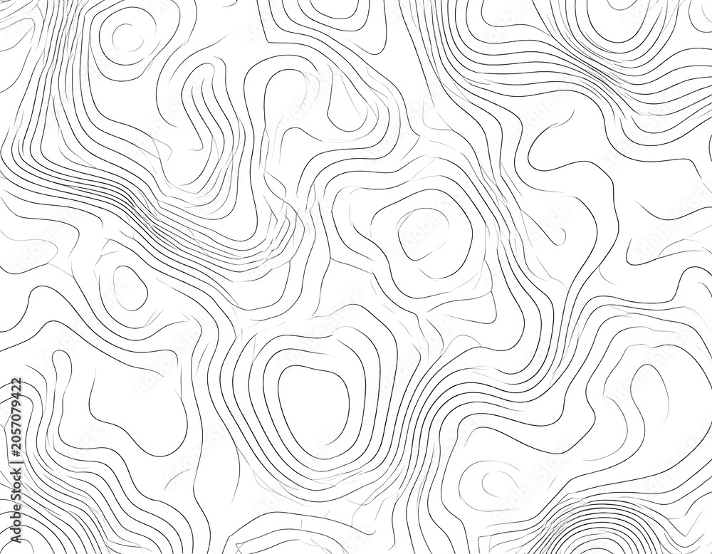 Fototapeta premium Minimal Abstract Topographic Contour Lines Pattern on White Background