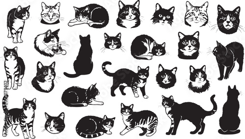 Fotografie Black and white illustration of a standing tabby cat