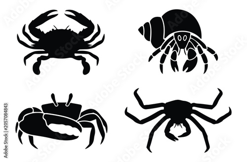 Foto Crab types set — blue crab, hermit crab, fiddler crab, king crab icon Silhouette