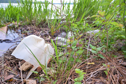 Εκτύπωση καμβά Close-up of discarded plastic waste and bottles lying near the edge of a freshwater lake