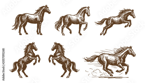 Hand Drawn Horse Logo Bundle: Vintage Equestrian Sketches, Minimalist Stallion Icons, Wild Mustang Mascot Set for Branding, Running, Jumping and Rearing Line Art Identity