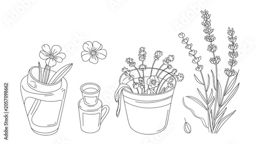 Hand Drawn Sketch of Lavender and Flowers in Decorative Pots Vector Illustration on White Background.