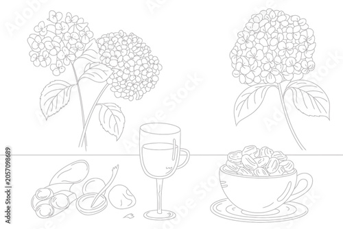 Line Art Hydrangeas and Coffee Cup with Pastries Still Life Vector Illustration on White Background.