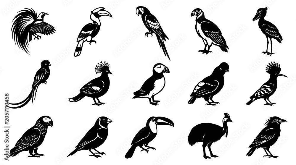 Fototapeta premium Ornithology Black White Vector Birds Glyphs Set - Diverse Avian Species Silhouettes Collection