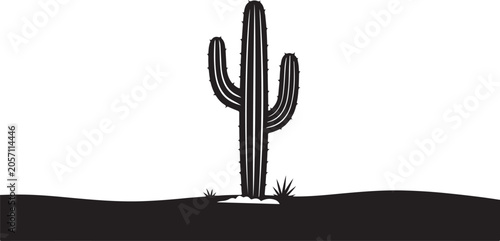 Desert, Cactus, Vector, Illustration