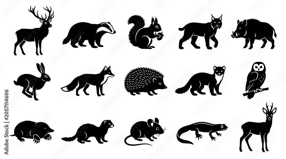 Obraz premium European Forest Wild Animals Silhouette Icon Set. Nature Wildlife Mammals Birds Reptiles Collection