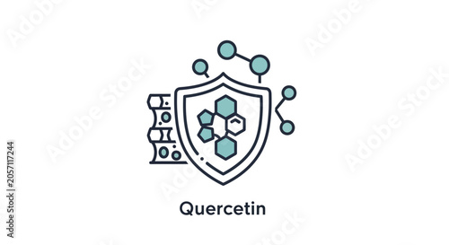 Quercetin antioxidant shield icon with molecular structure and chemical bonds