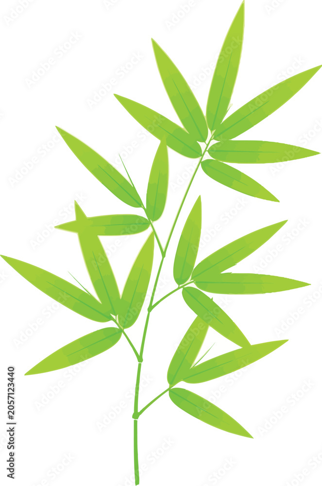 Fototapeta premium Elegant Green Bamboo Leaf Branch Vector Illustration as a Seamless Pattern Item and Wedding Item for Nature Decoration