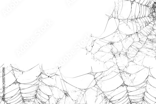 Spooky Black Spiderweb Border Texture Isolated on transparent Background