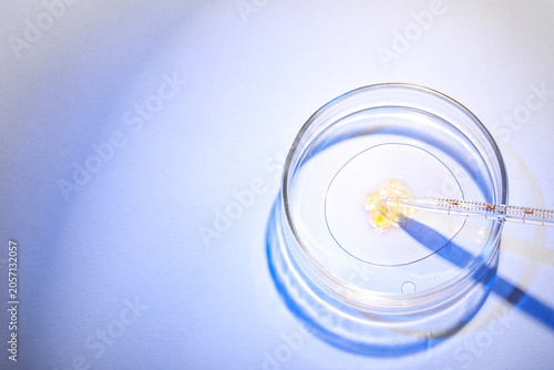 Petri dish with pipette and...