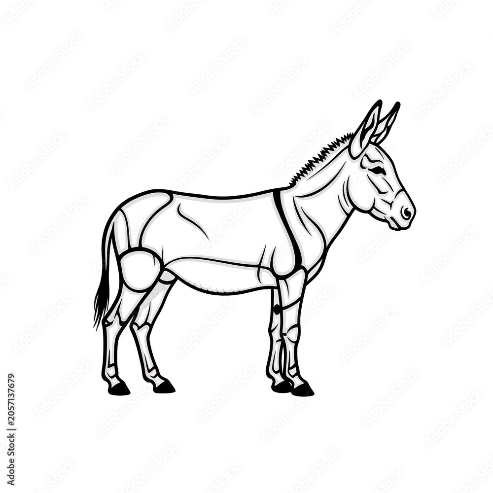 Obraz premium Thin Line Art Sketch Donkey Standing in Profile View Isolated on White, Perfect for Animal Coloring, Logo, Print, Sticker, Poster and Digital Illustration