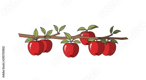 Red cherries with green leaves on stems.